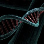 dna 6517209 1280