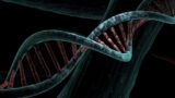 dna 6517209 1280