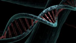 dna 6517209 1280